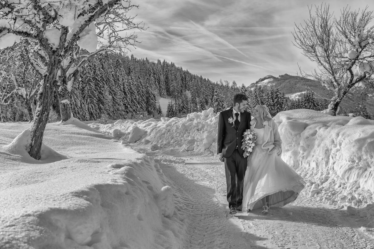 fdpictures – Bild 4