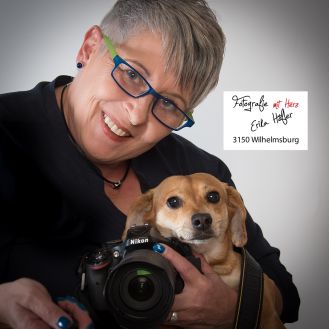 Hoefler - Hochzeitsfotograf, Hochzeitsvideo